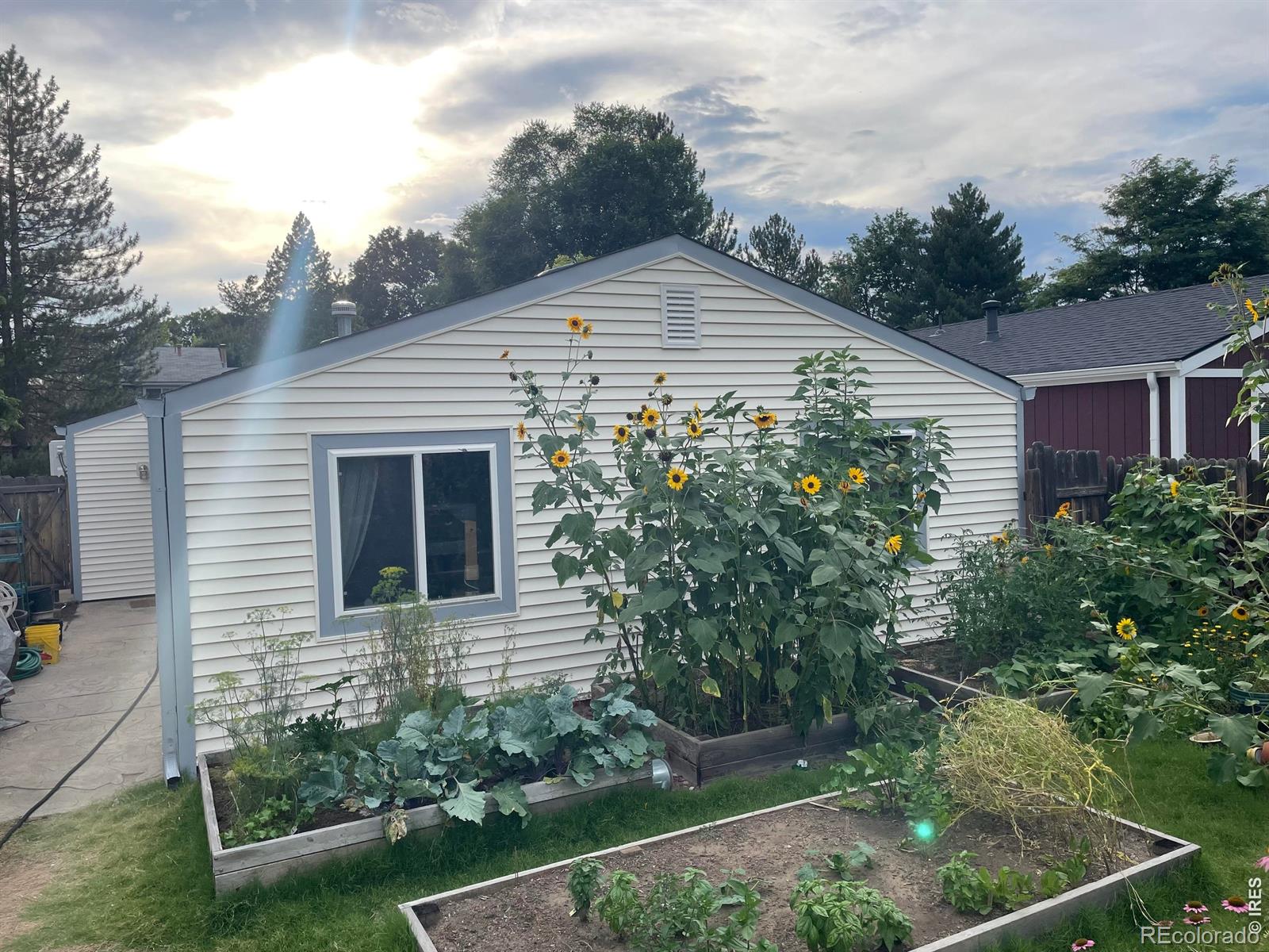 MLS Image #18 for 1216  meadow street,longmont, Colorado