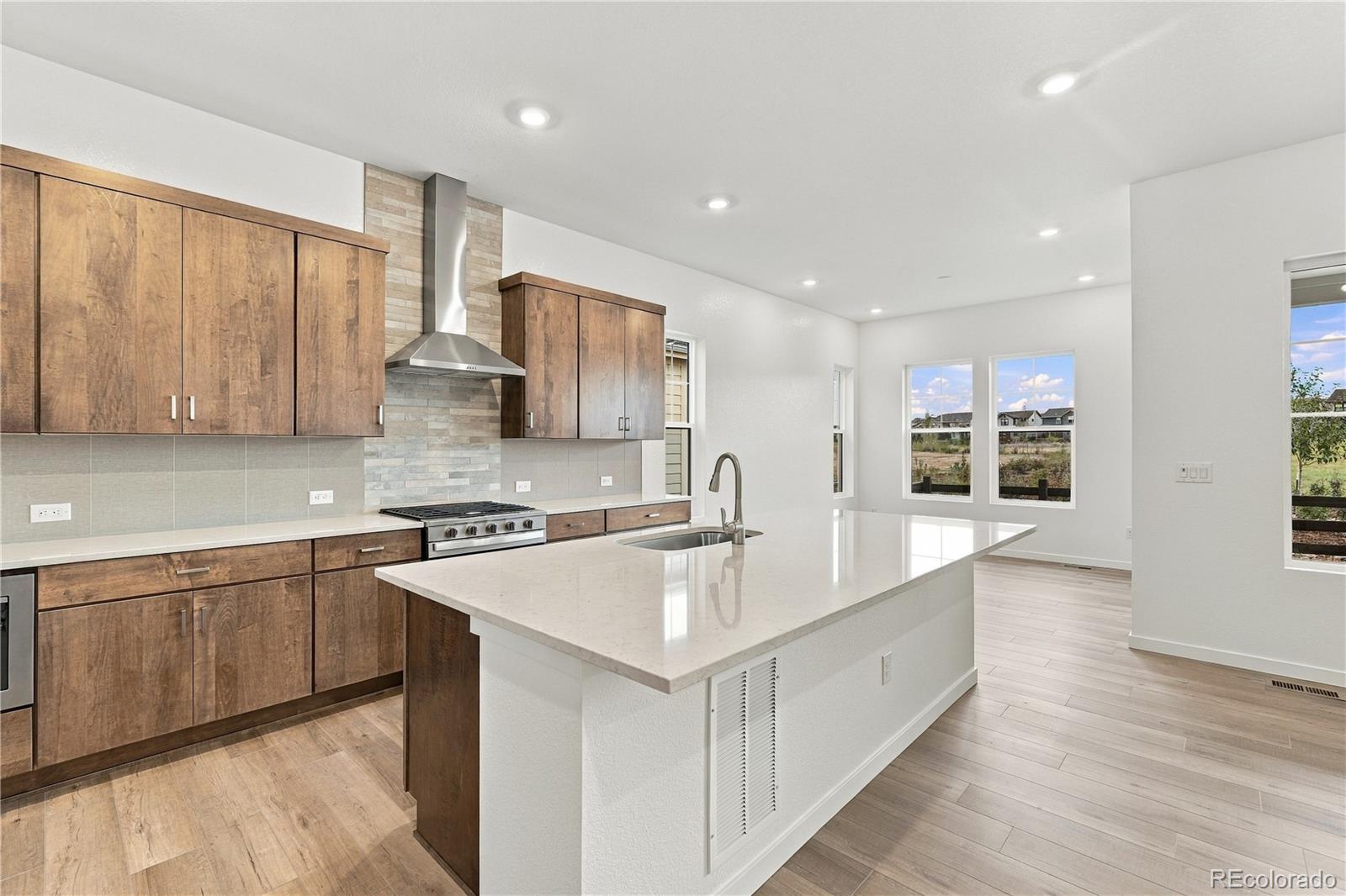 MLS Image #19 for 11087  amber light circle,littleton, Colorado
