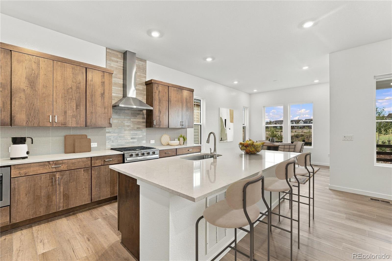 MLS Image #6 for 11087  amber light circle,littleton, Colorado