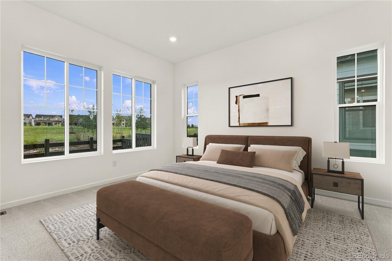 MLS Image #8 for 11087  amber light circle,littleton, Colorado