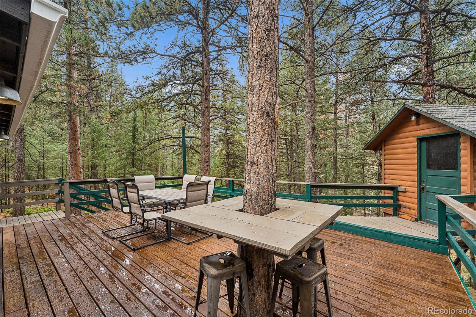 MLS Image #23 for 7514  rossman gulch road,morrison, Colorado