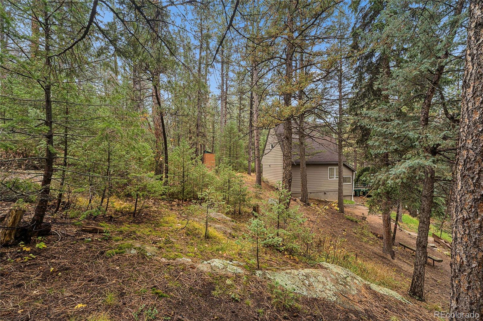MLS Image #26 for 7514  rossman gulch road,morrison, Colorado