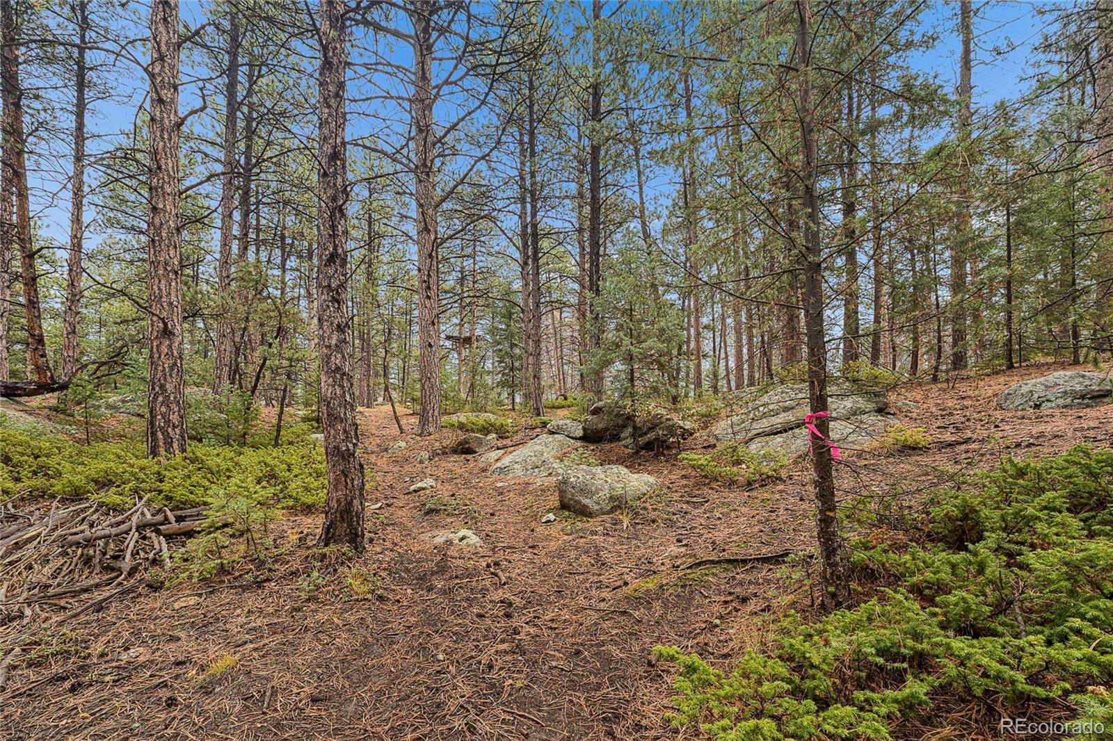 MLS Image #27 for 7514  rossman gulch road,morrison, Colorado