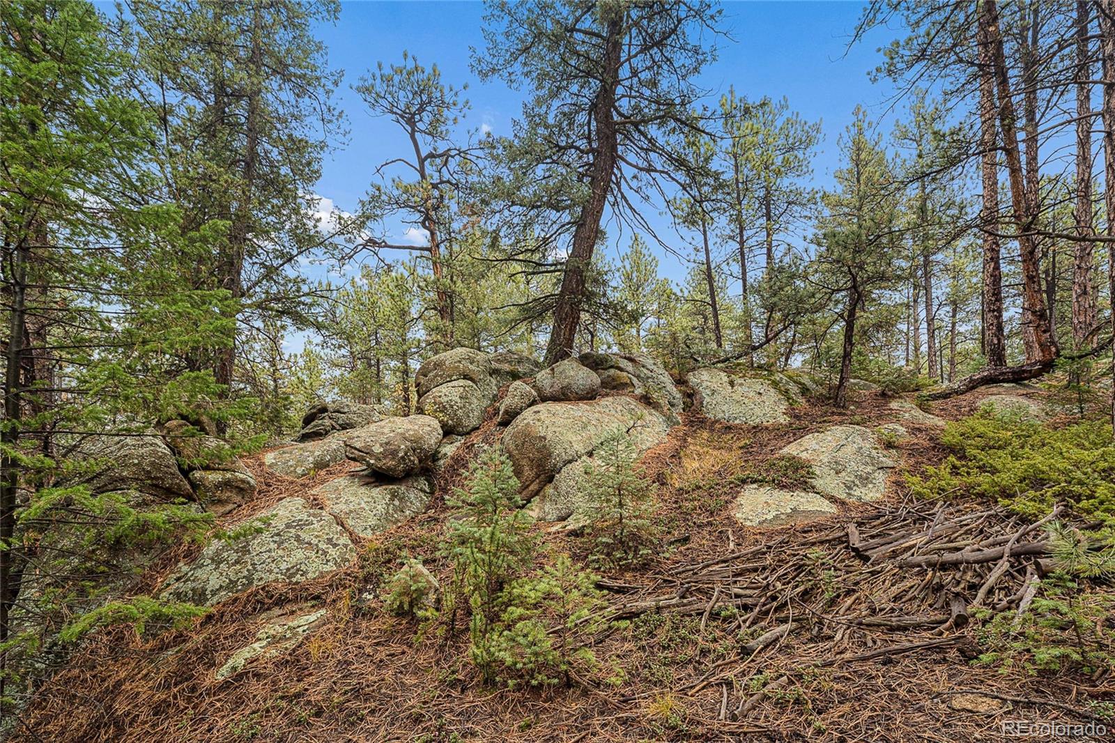 MLS Image #30 for 7514  rossman gulch road,morrison, Colorado