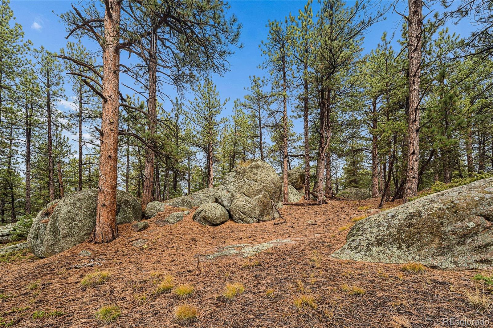 MLS Image #31 for 7514  rossman gulch road,morrison, Colorado