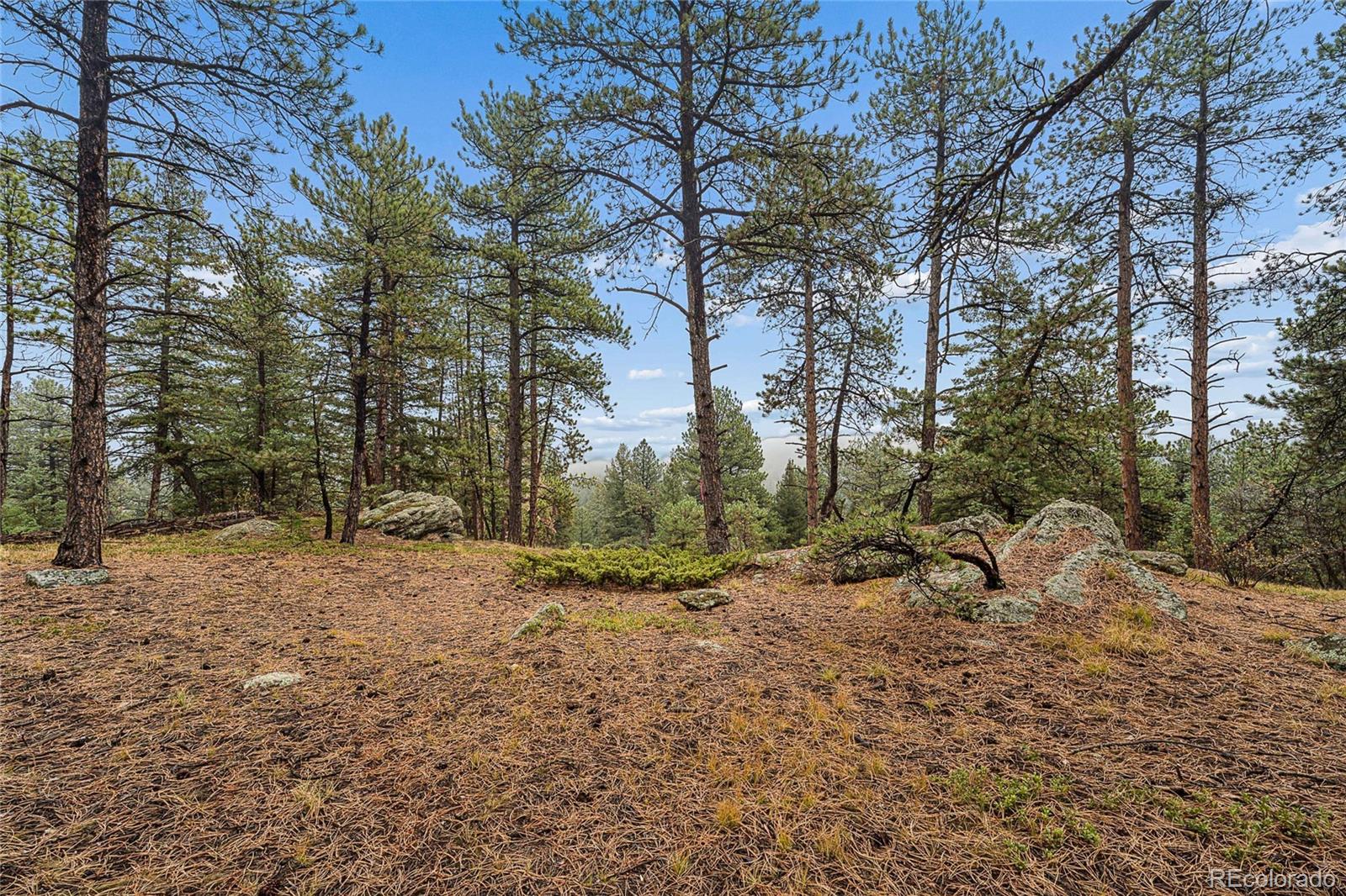 MLS Image #32 for 7514  rossman gulch road,morrison, Colorado