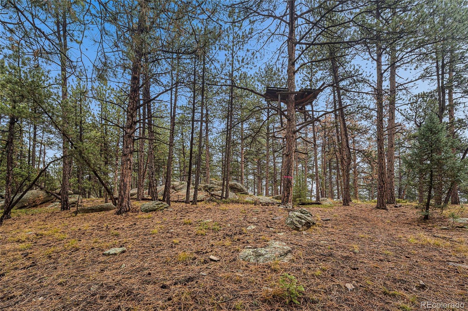 MLS Image #33 for 7514  rossman gulch road,morrison, Colorado