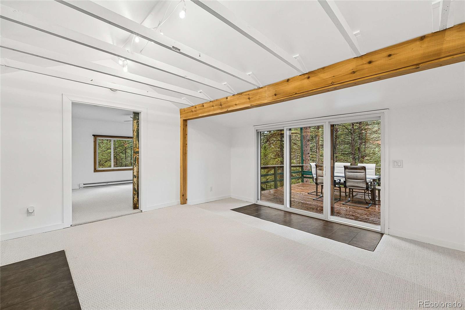 MLS Image #8 for 7514  rossman gulch road,morrison, Colorado