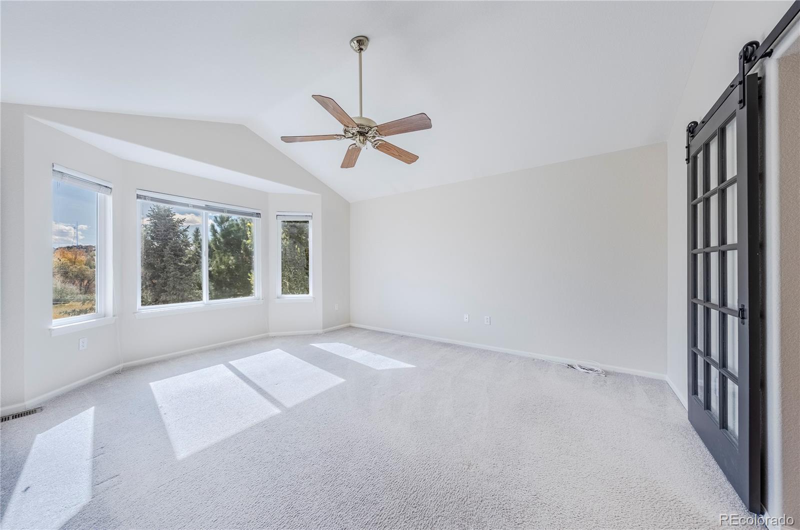 MLS Image #27 for 22318  quail run way,parker, Colorado