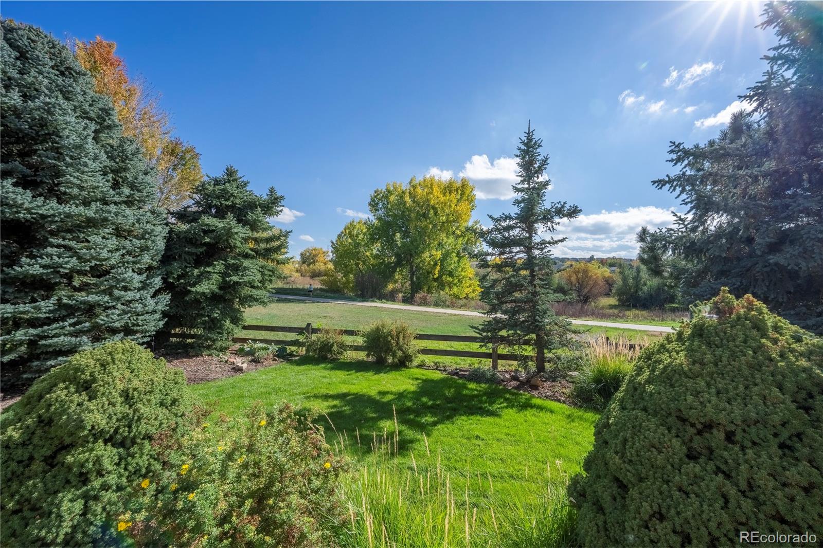 MLS Image #4 for 22318  quail run way,parker, Colorado