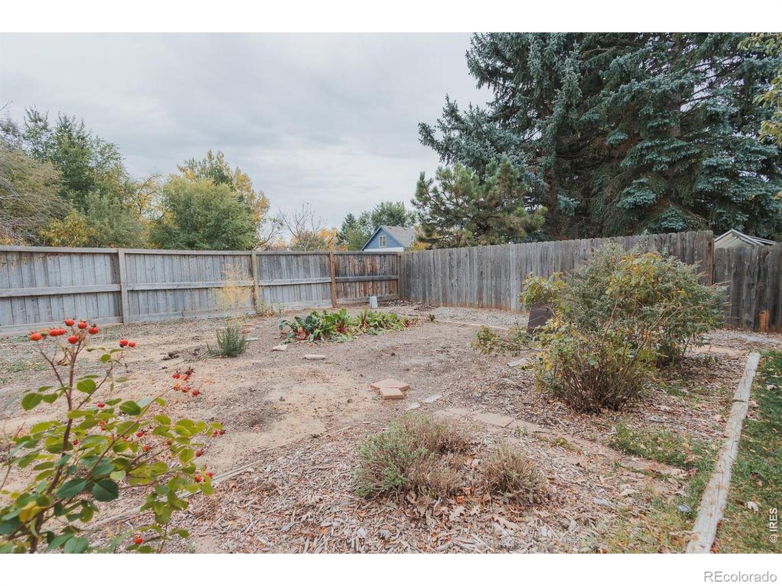 MLS Image #27 for 1524  wildwood court,fort collins, Colorado