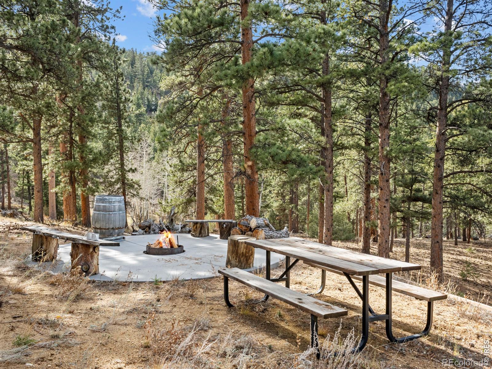 MLS Image #39 for 1267  upper venner road,estes park, Colorado