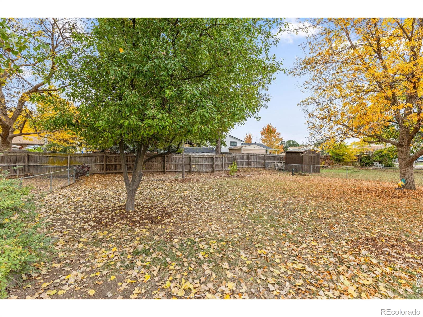 MLS Image #24 for 1121 s gay drive,longmont, Colorado
