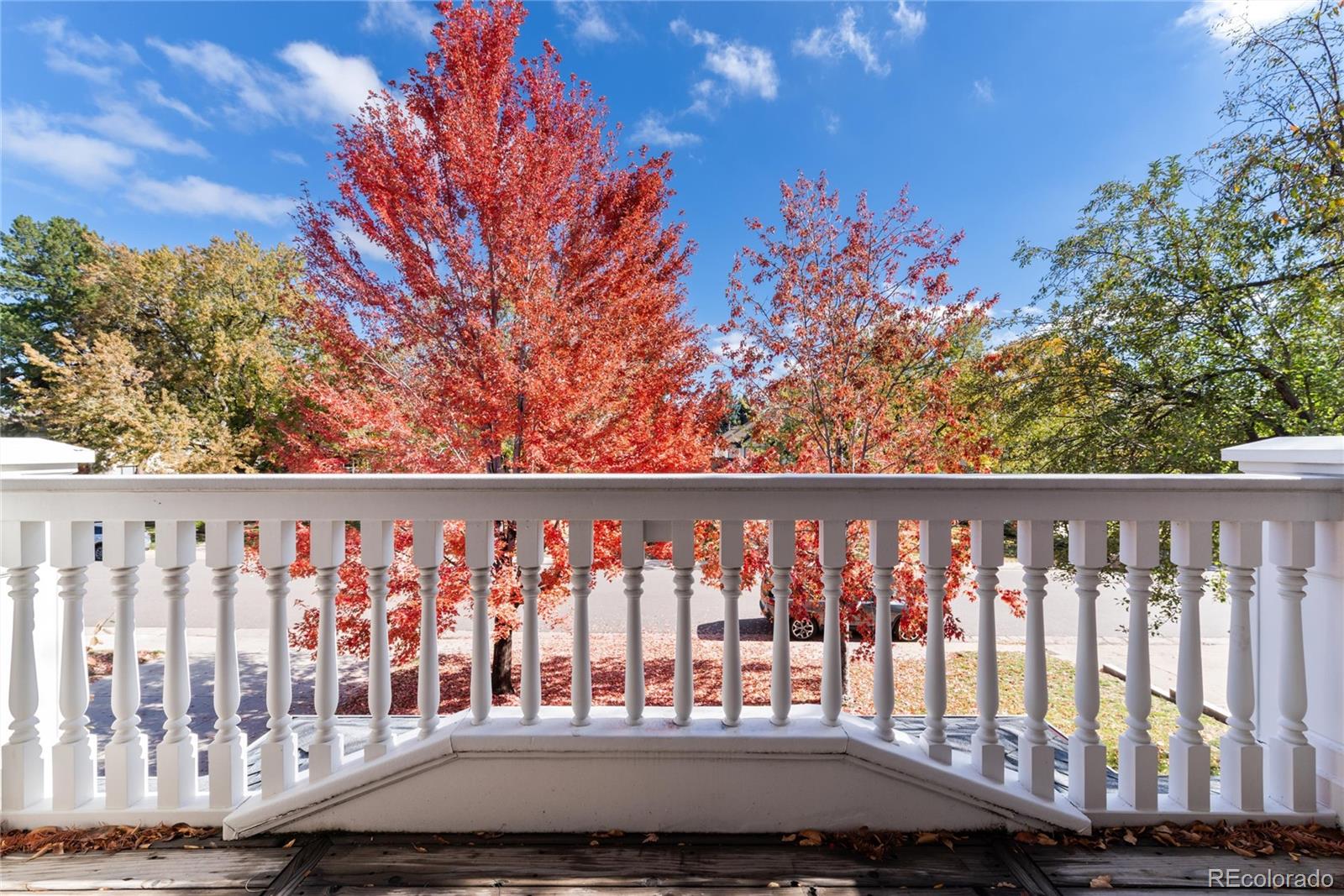 MLS Image #28 for 141  elm street,denver, Colorado