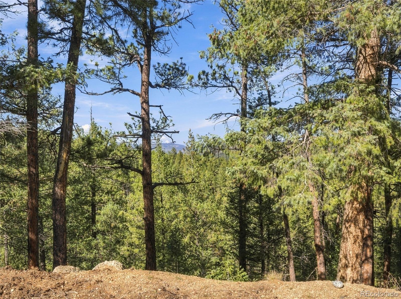 MLS Image #22 for 896 s county highway 67 ,sedalia, Colorado