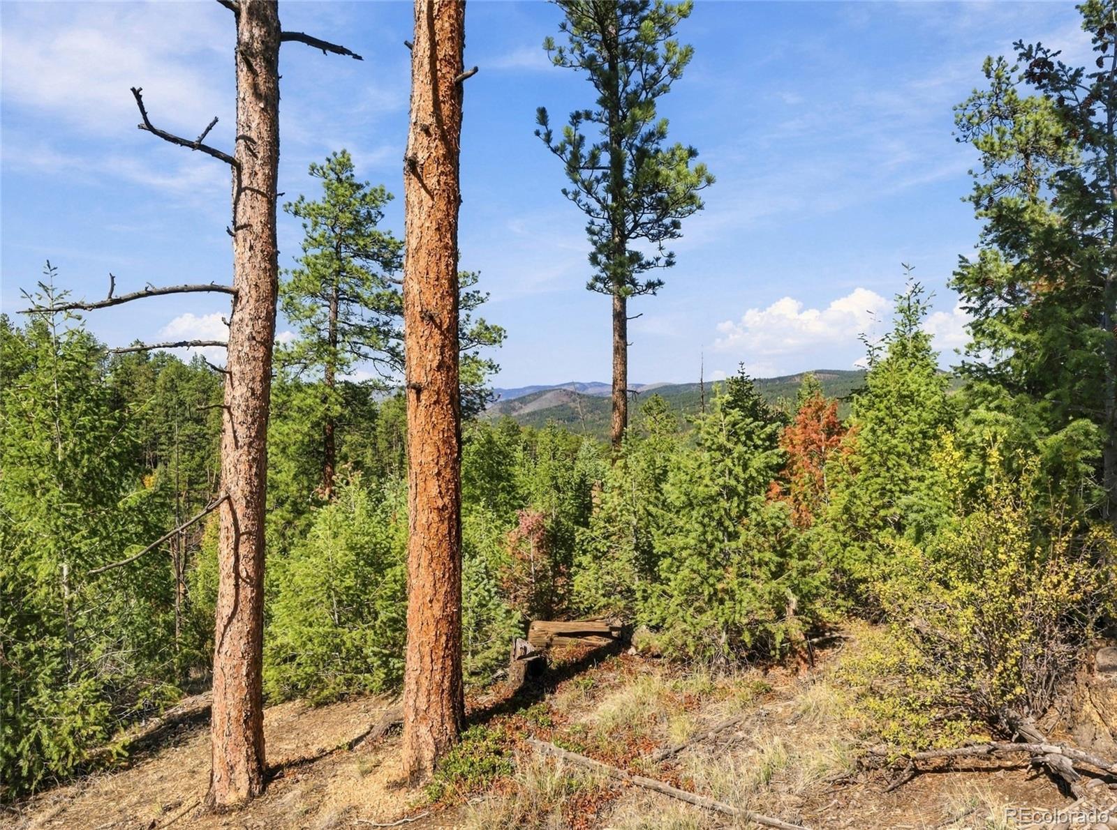 MLS Image #23 for 896 s county highway 67 ,sedalia, Colorado