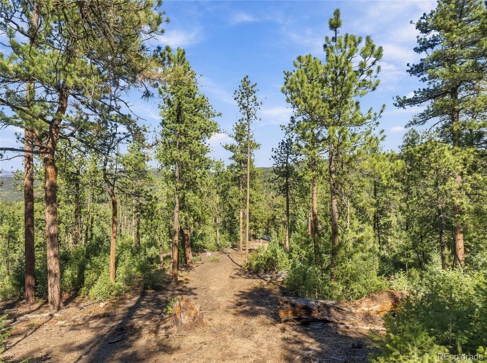 MLS Image #24 for 896 s county highway 67 ,sedalia, Colorado