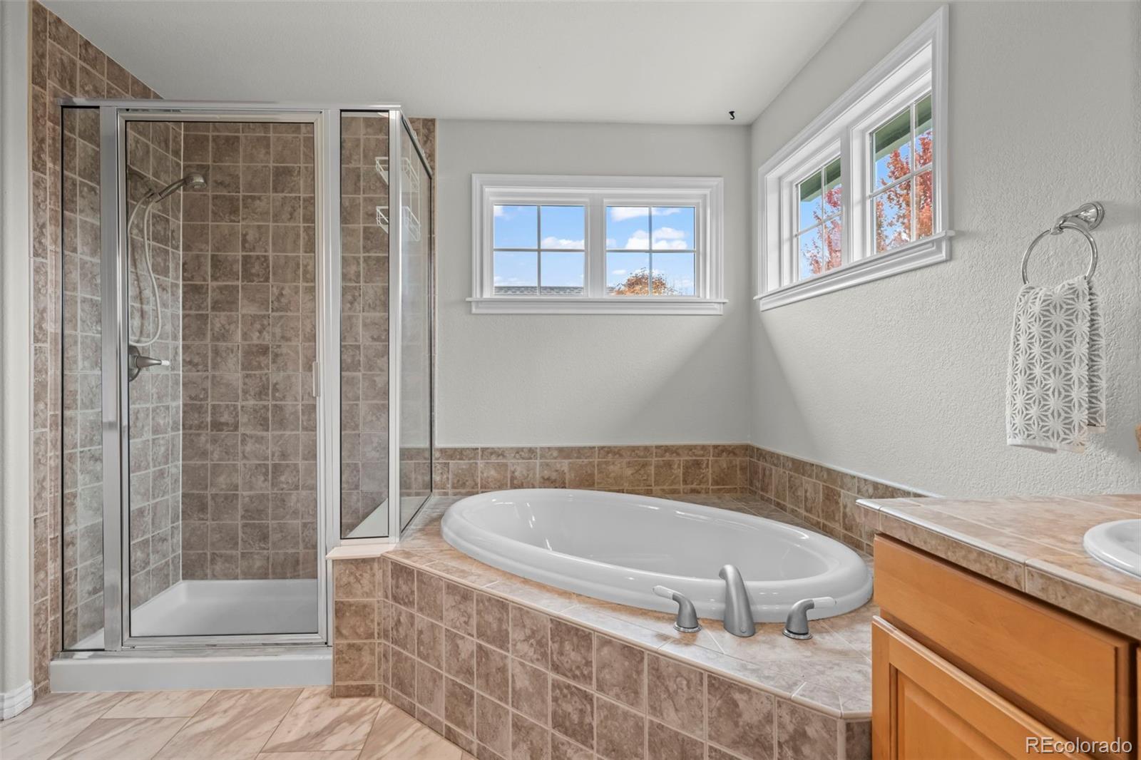MLS Image #37 for 1305  greening avenue,erie, Colorado