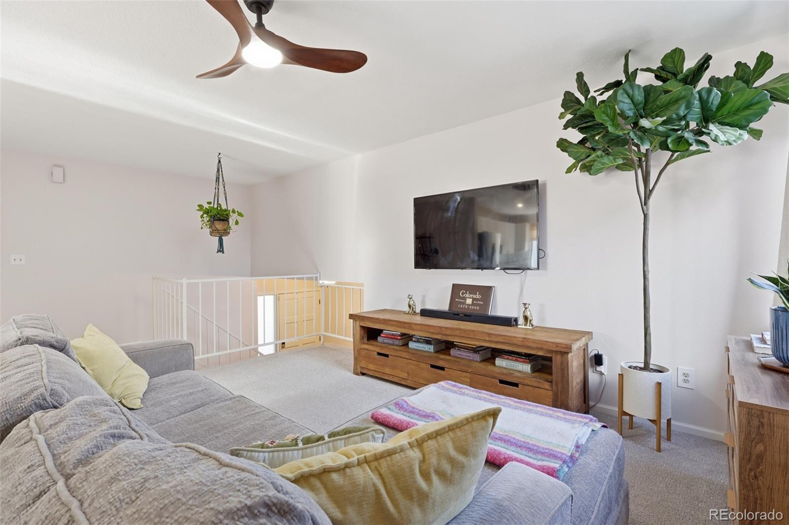 MLS Image #3 for 4442 s cole street,morrison, Colorado