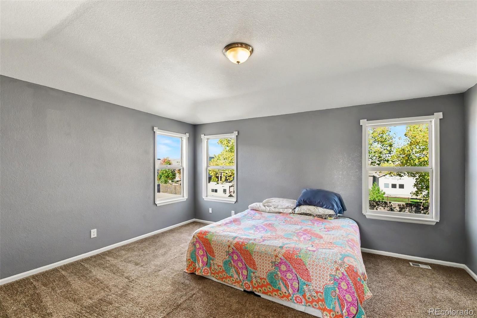 MLS Image #13 for 125  falcon circle,mead, Colorado