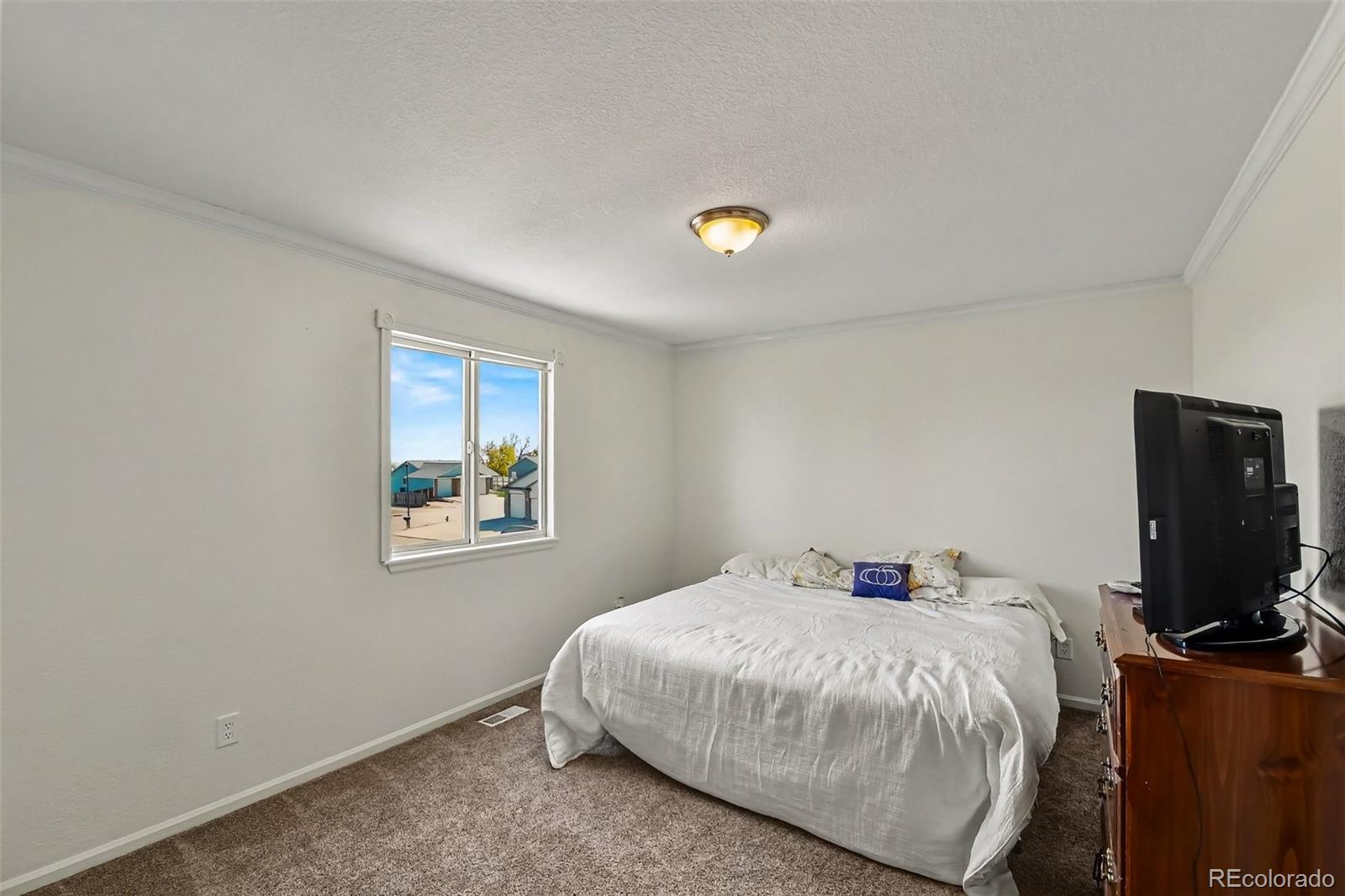 MLS Image #17 for 125  falcon circle,mead, Colorado