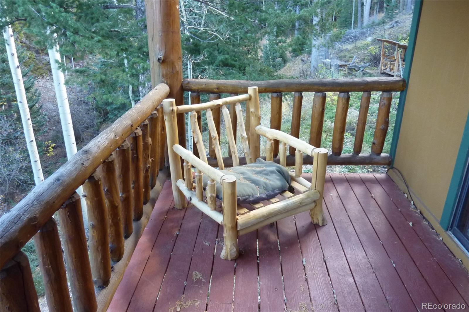 MLS Image #10 for 604  castlewood drive,evergreen, Colorado