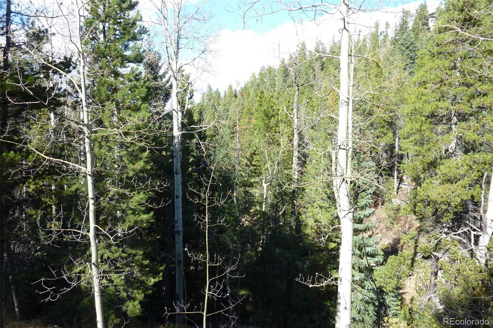 MLS Image #8 for 604  castlewood drive,evergreen, Colorado