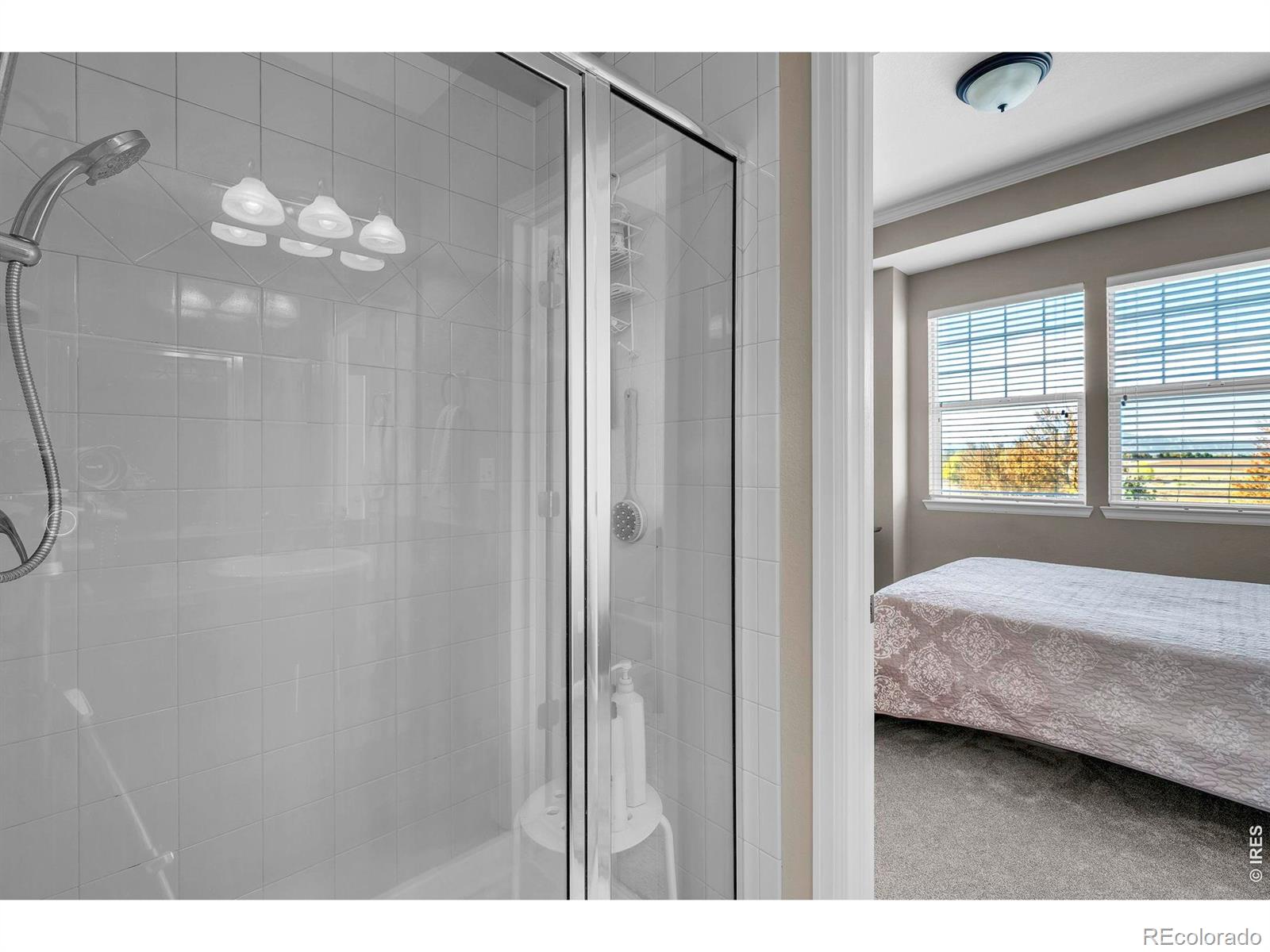 MLS Image #22 for 12840  king street,broomfield, Colorado