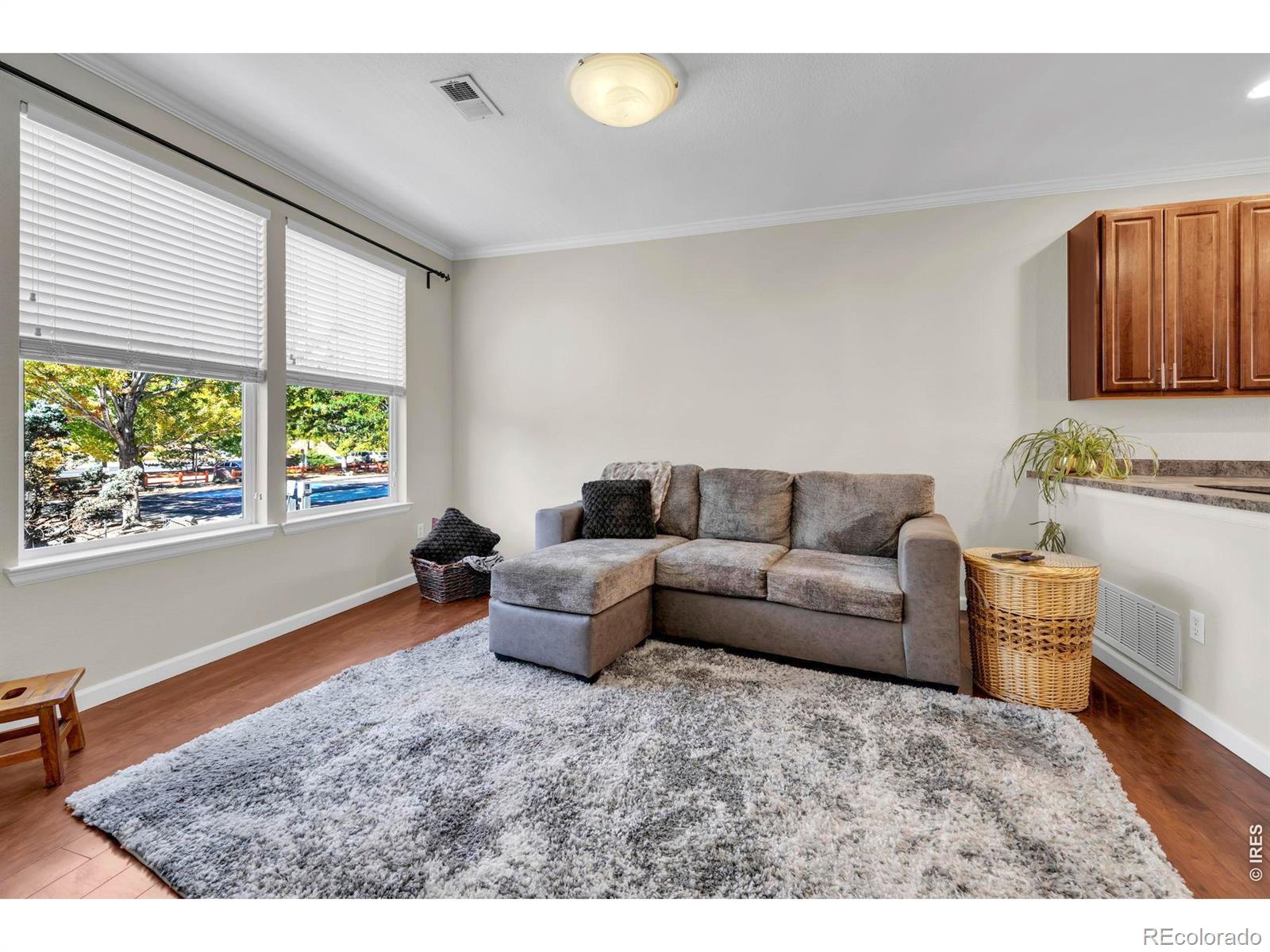 MLS Image #4 for 12840  king street,broomfield, Colorado