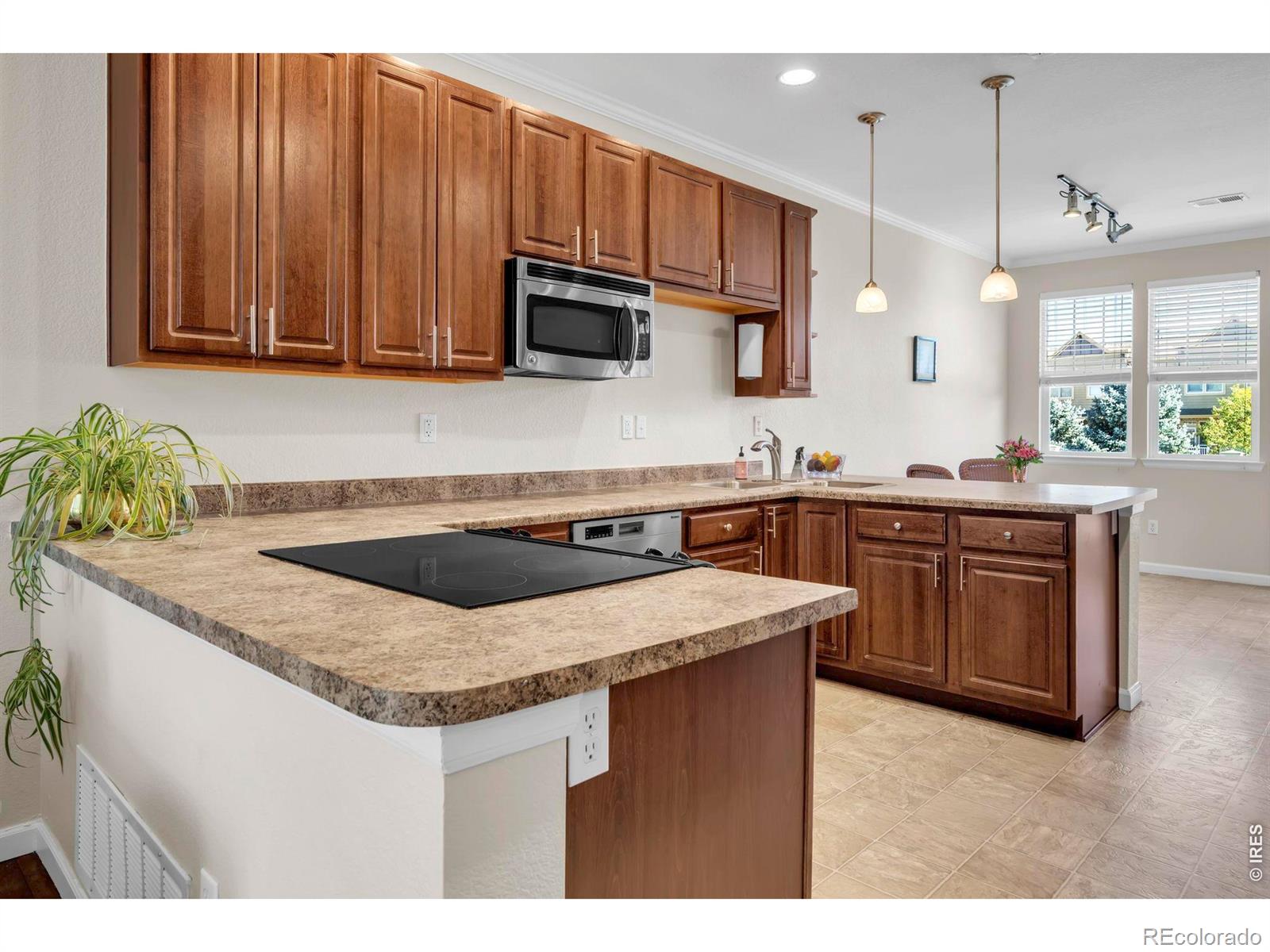 MLS Image #9 for 12840  king street,broomfield, Colorado