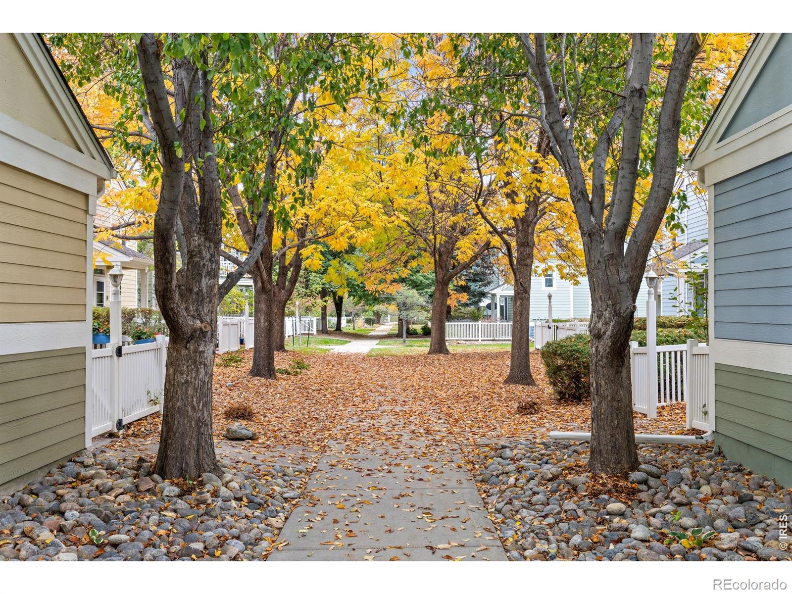 MLS Image #21 for 640  gooseberry drive,longmont, Colorado
