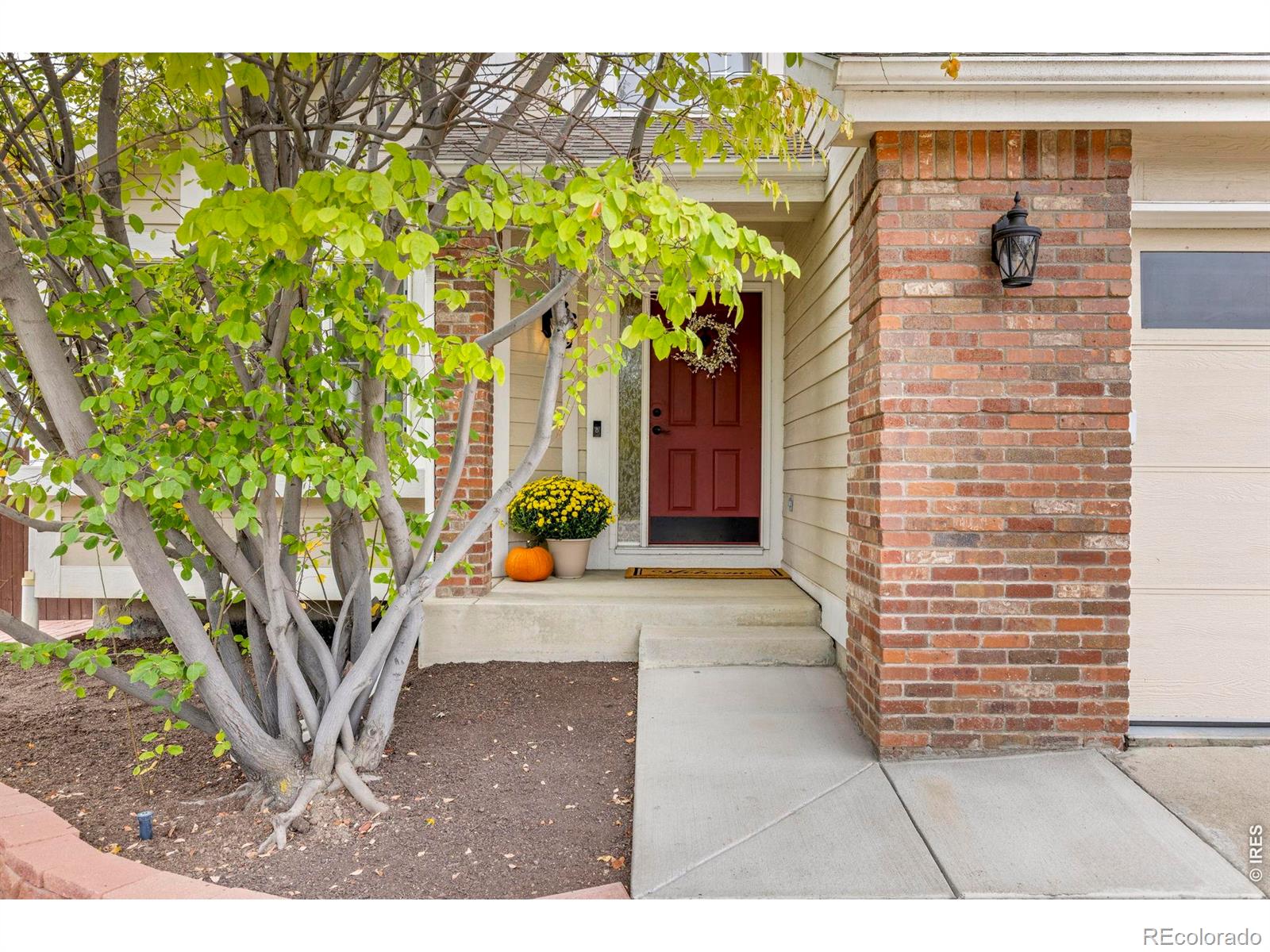 MLS Image #1 for 3362  larkspur drive,longmont, Colorado