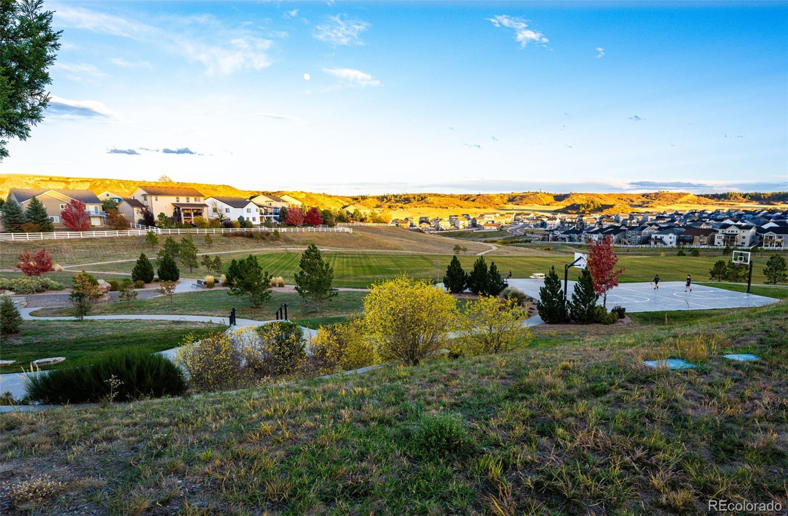 MLS Image #49 for 4792  coltin trail,castle rock, Colorado