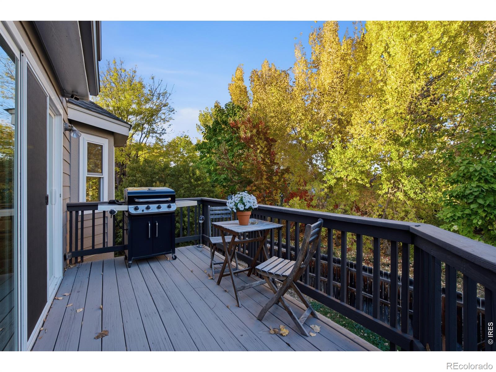 MLS Image #33 for 548 e 16th avenue,longmont, Colorado