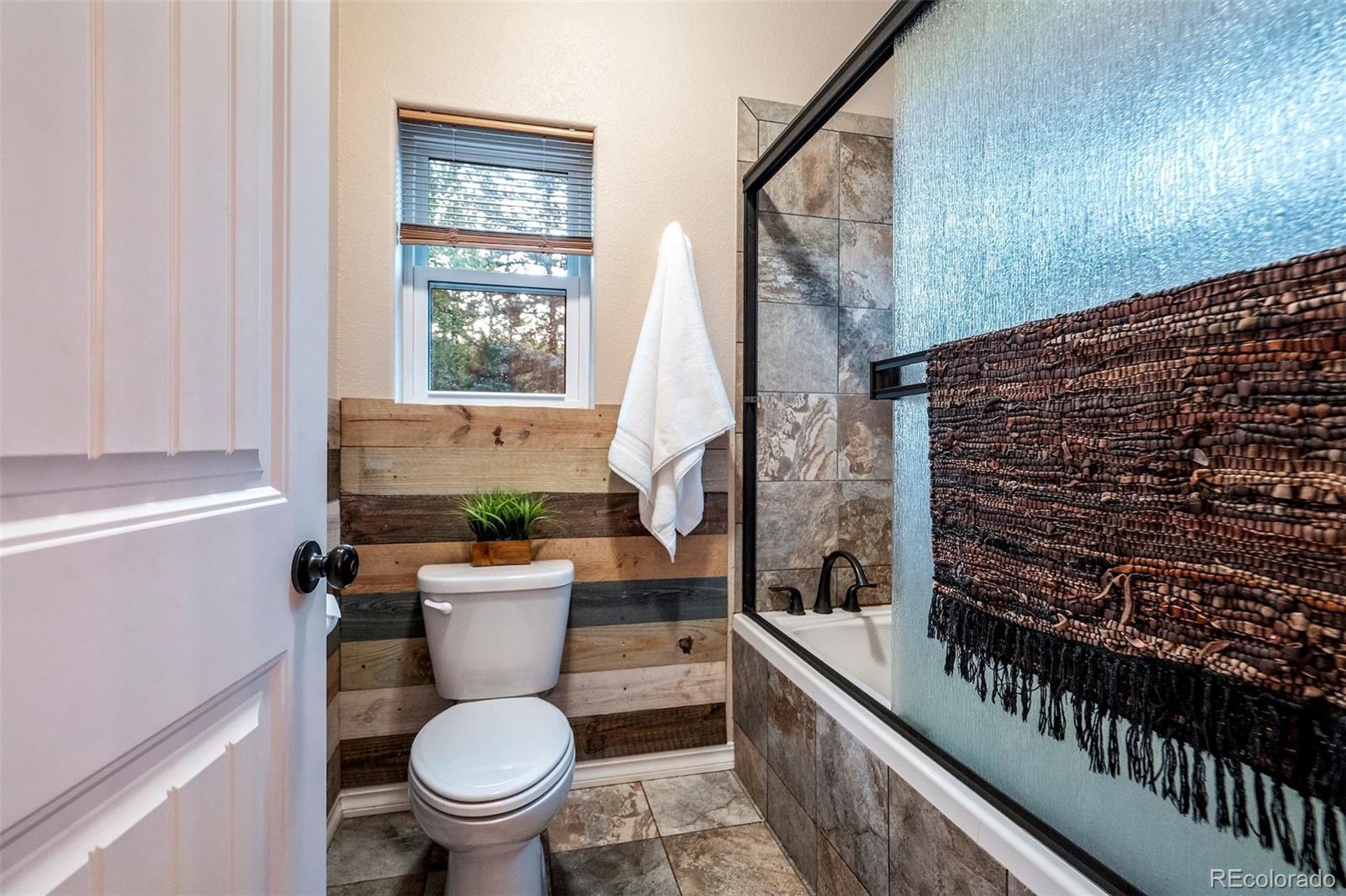 MLS Image #21 for 119  remwood circle,divide, Colorado