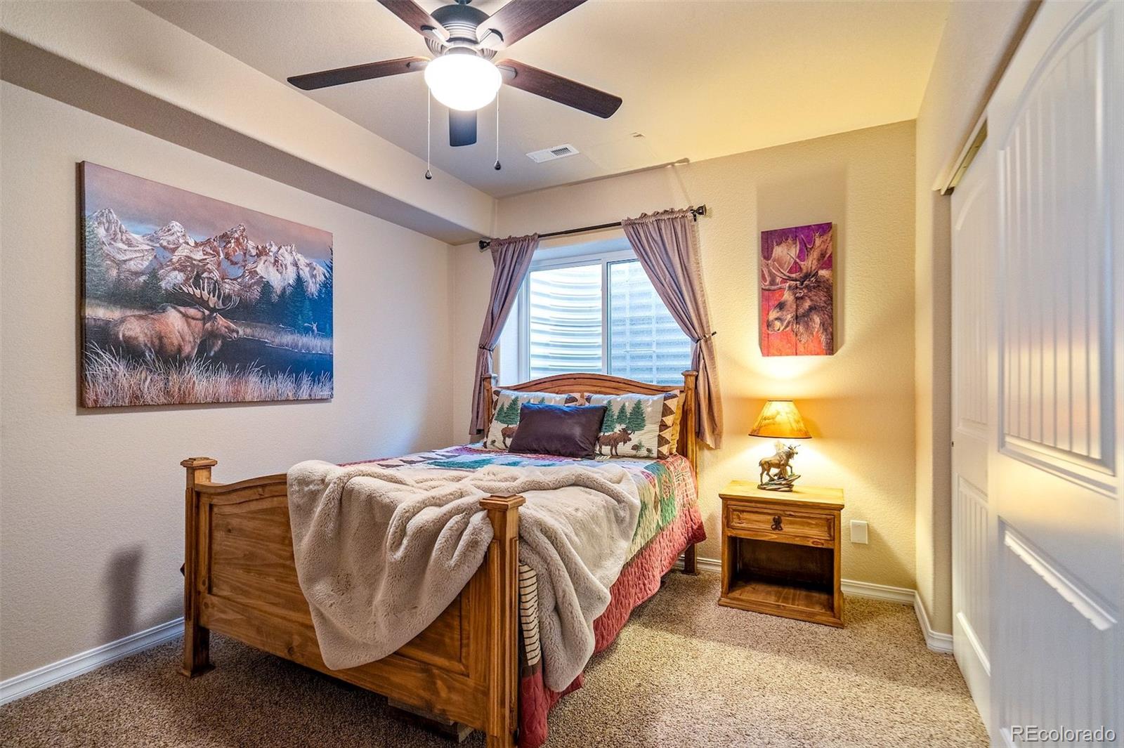 MLS Image #31 for 119  remwood circle,divide, Colorado