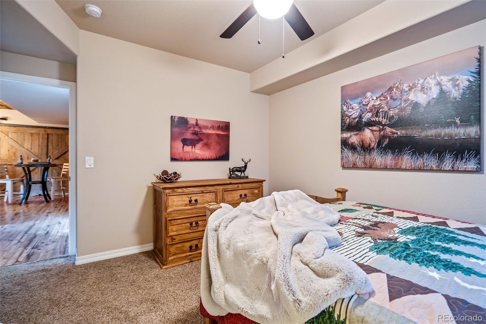 MLS Image #32 for 119  remwood circle,divide, Colorado