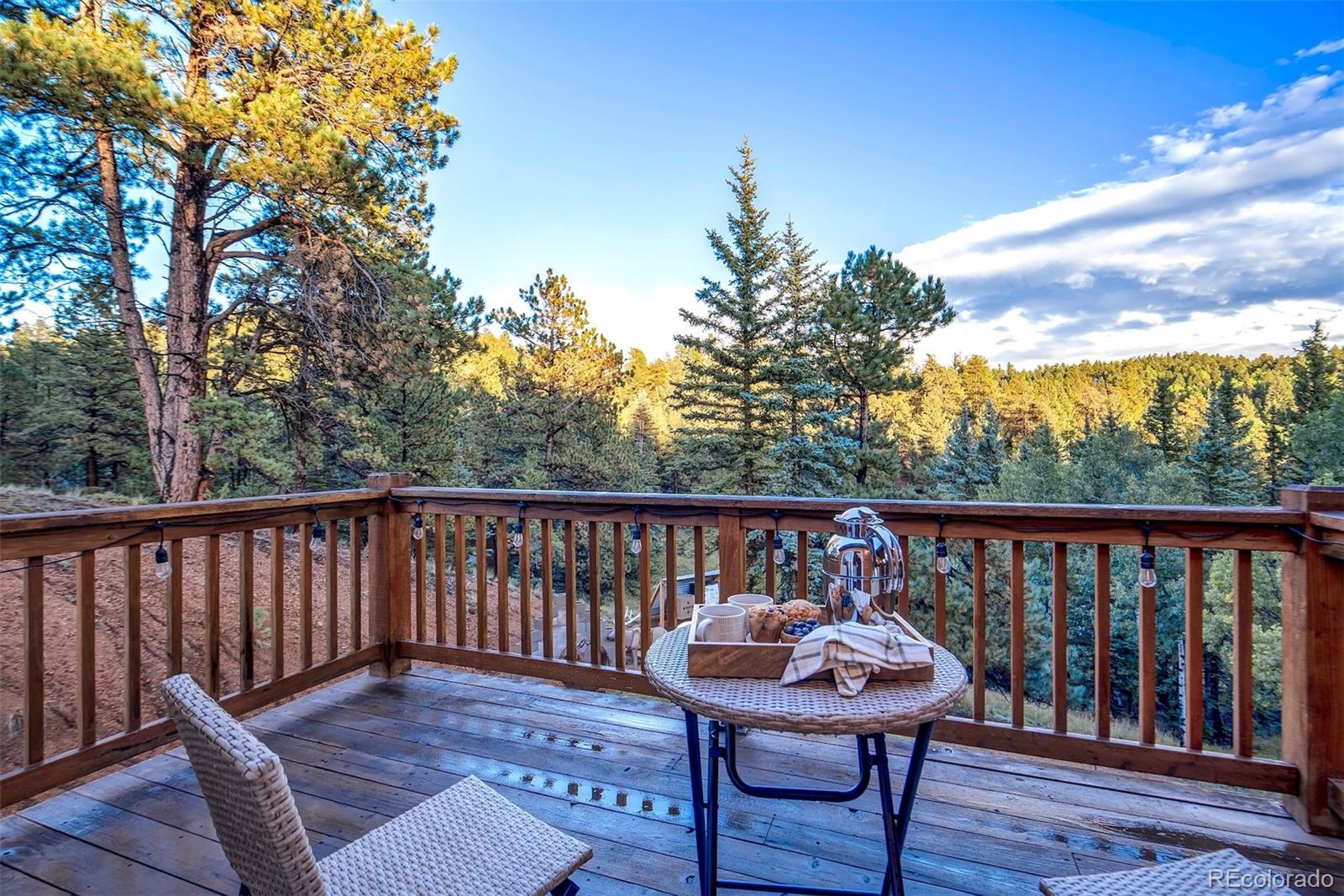 MLS Image #4 for 119  remwood circle,divide, Colorado