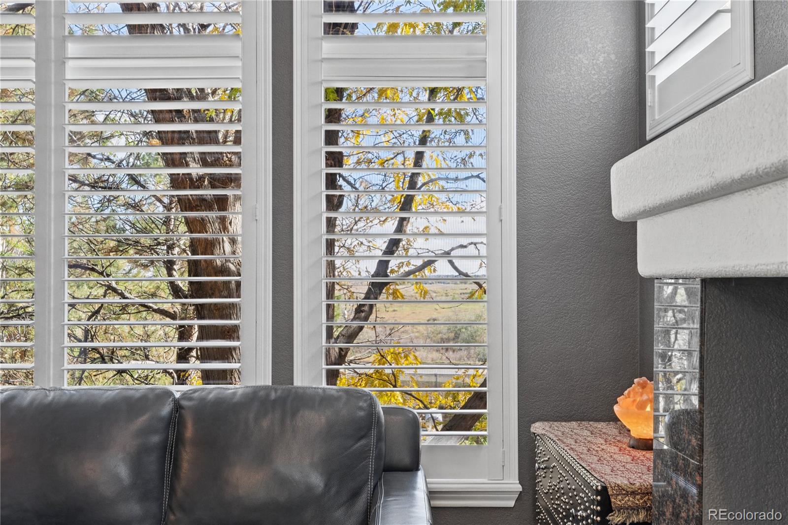 MLS Image #8 for 12056 e lake circle,greenwood village, Colorado
