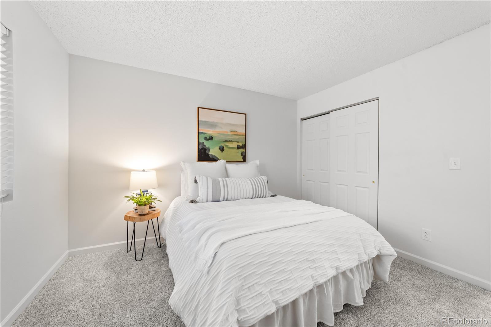 MLS Image #12 for 7504  picacho court,colorado springs, Colorado