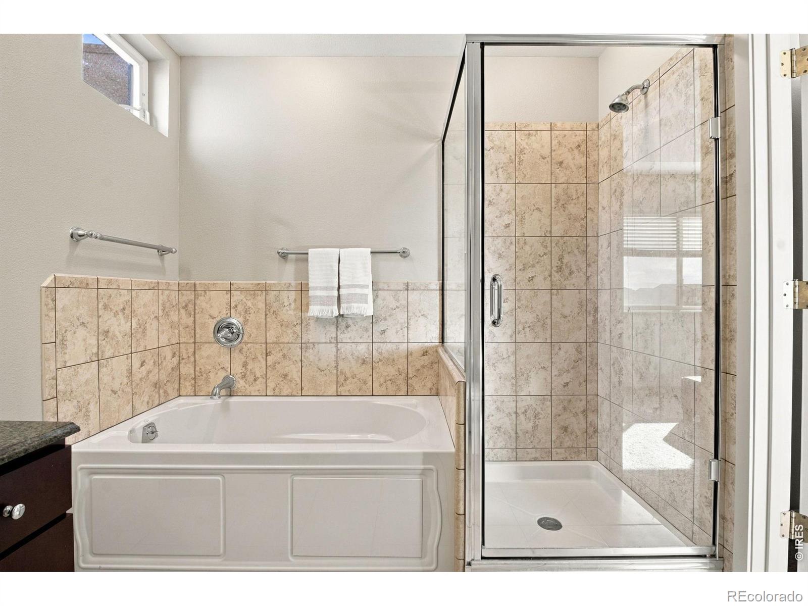 MLS Image #13 for 3102  three silos drive,wellington, Colorado