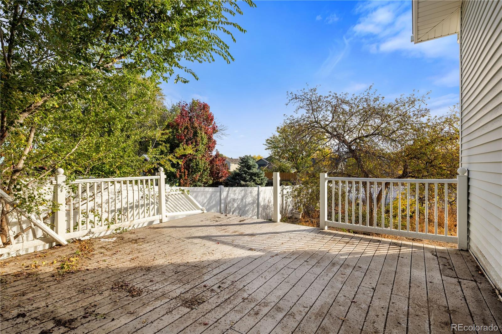 MLS Image #11 for 13318  alcott circle,broomfield, Colorado