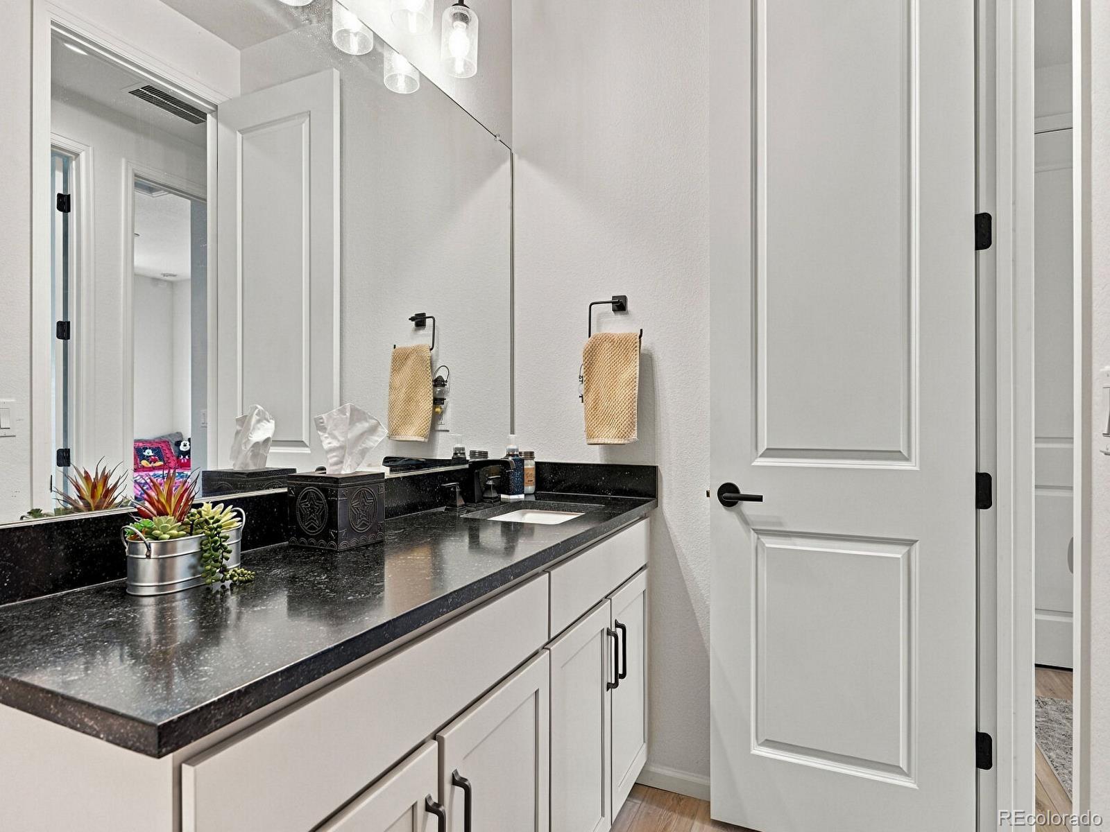 MLS Image #36 for 2938  marsh hawk way,brighton, Colorado