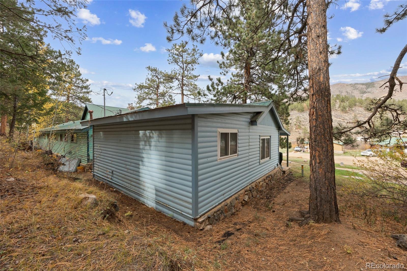 MLS Image #22 for 57920  us highway 285 ,bailey, Colorado
