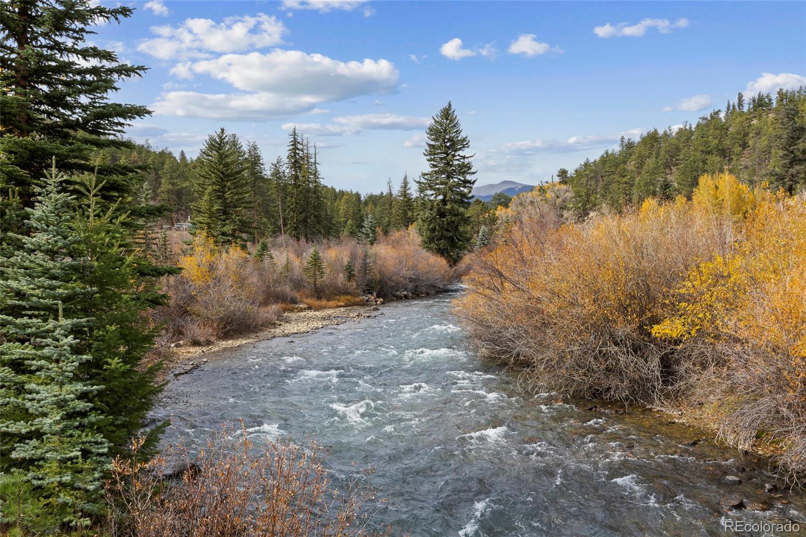 MLS Image #3 for 57920  us highway 285 ,bailey, Colorado