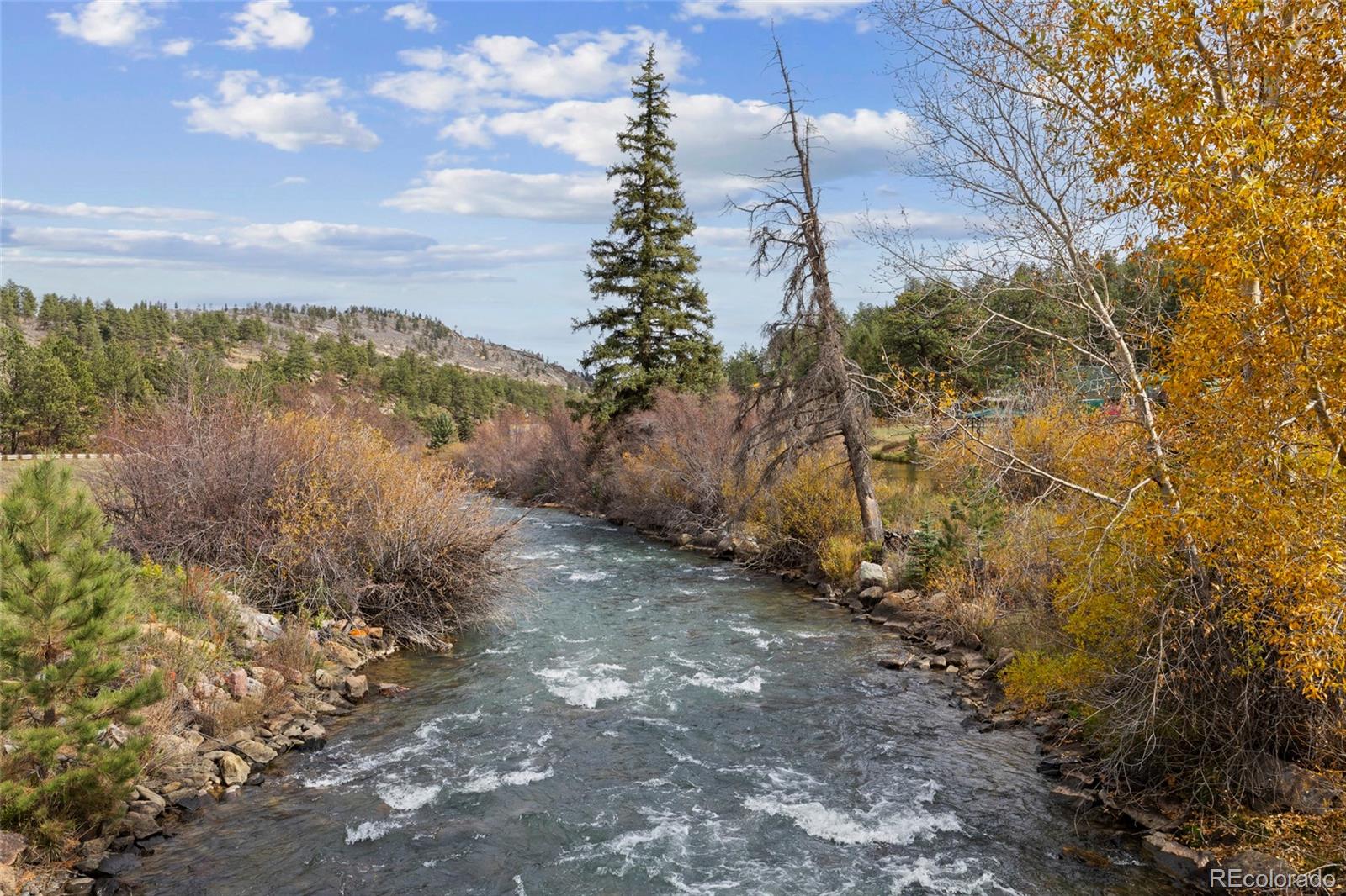 MLS Image #4 for 57920  us highway 285 ,bailey, Colorado