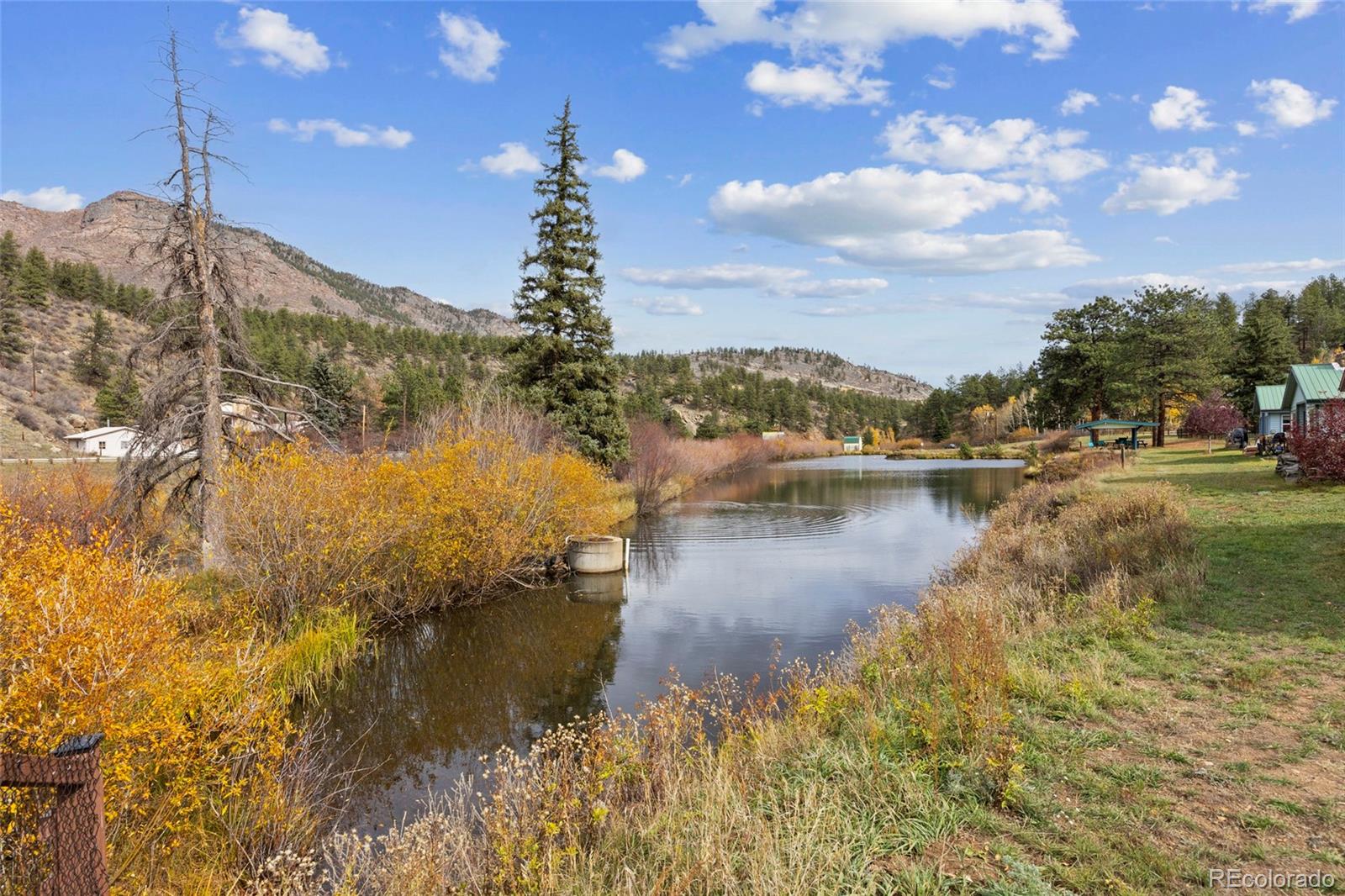MLS Image #5 for 57920  us highway 285 ,bailey, Colorado