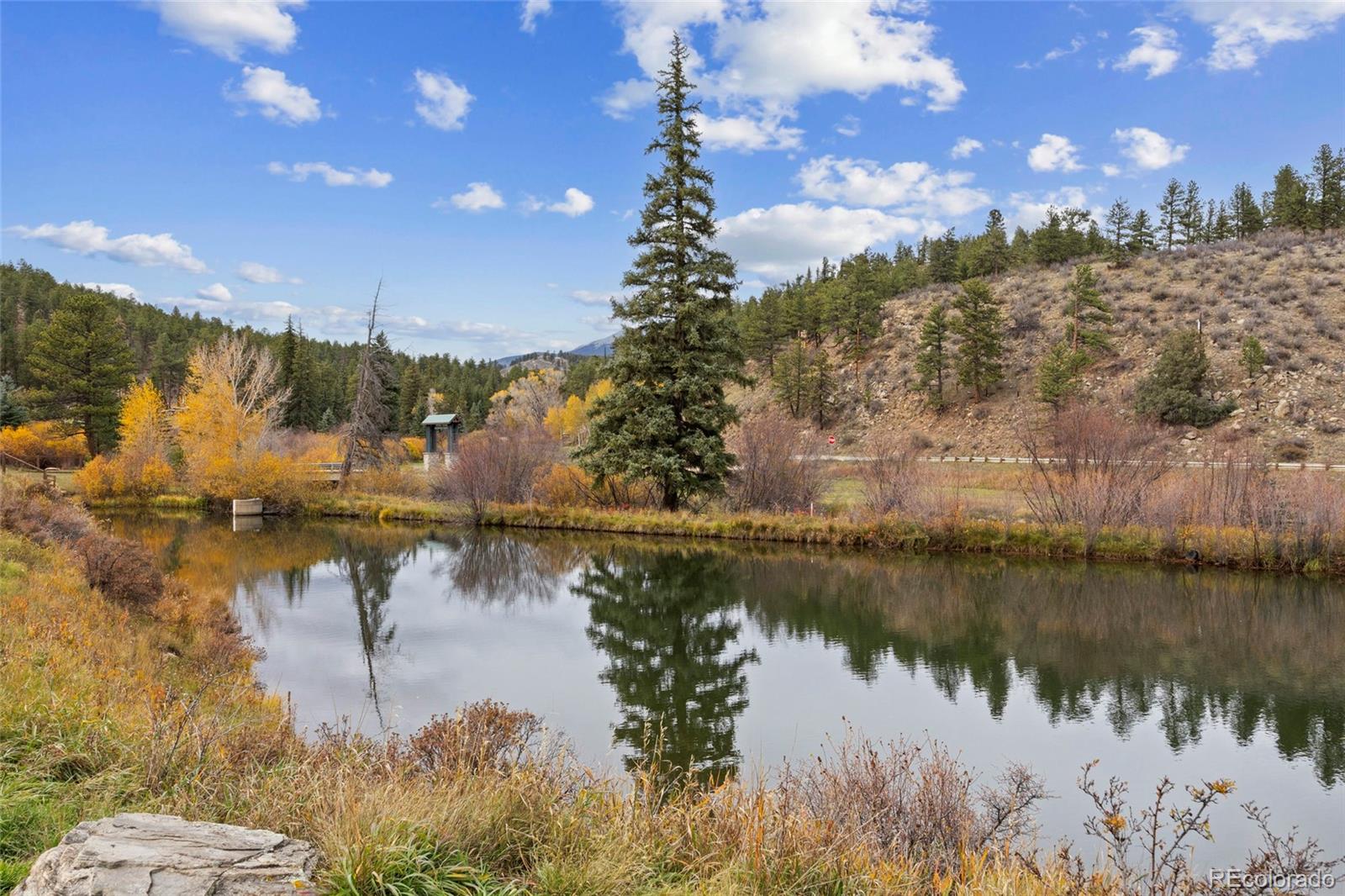 MLS Image #6 for 57920  us highway 285 ,bailey, Colorado