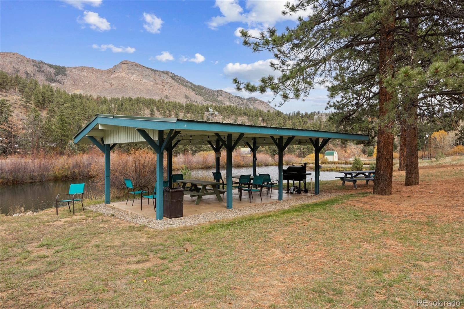 MLS Image #7 for 57920  us highway 285 ,bailey, Colorado