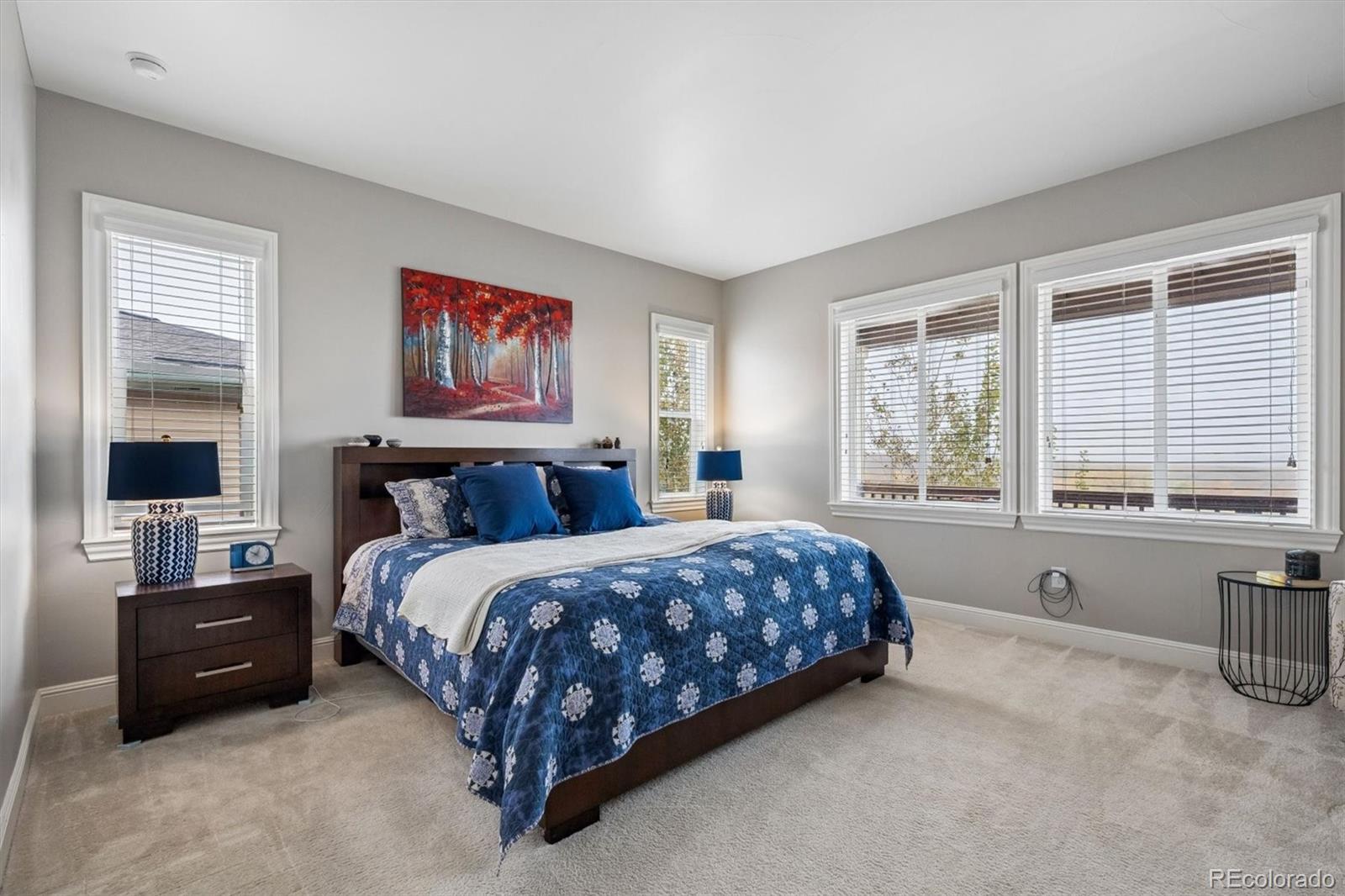 MLS Image #11 for 12987  big horn drive,broomfield, Colorado